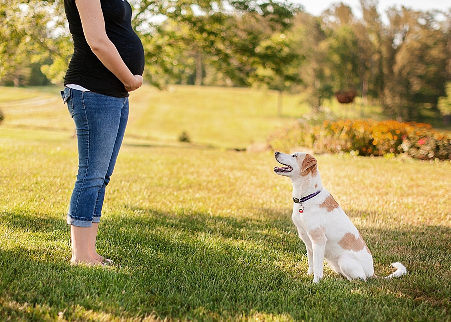 Outdoor maternity shot with family dog 