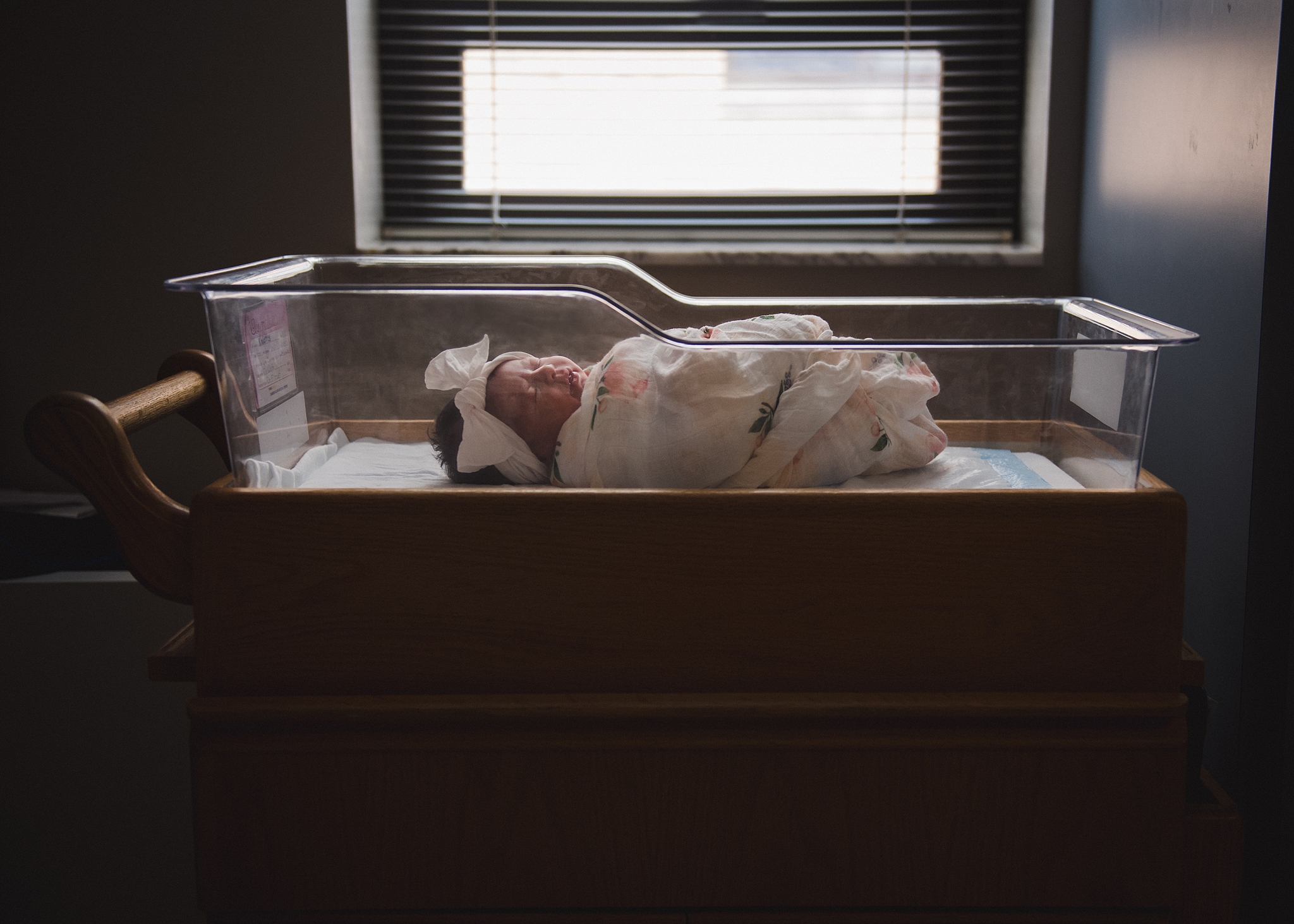 welcome to the world berkeley - lori pickens photography