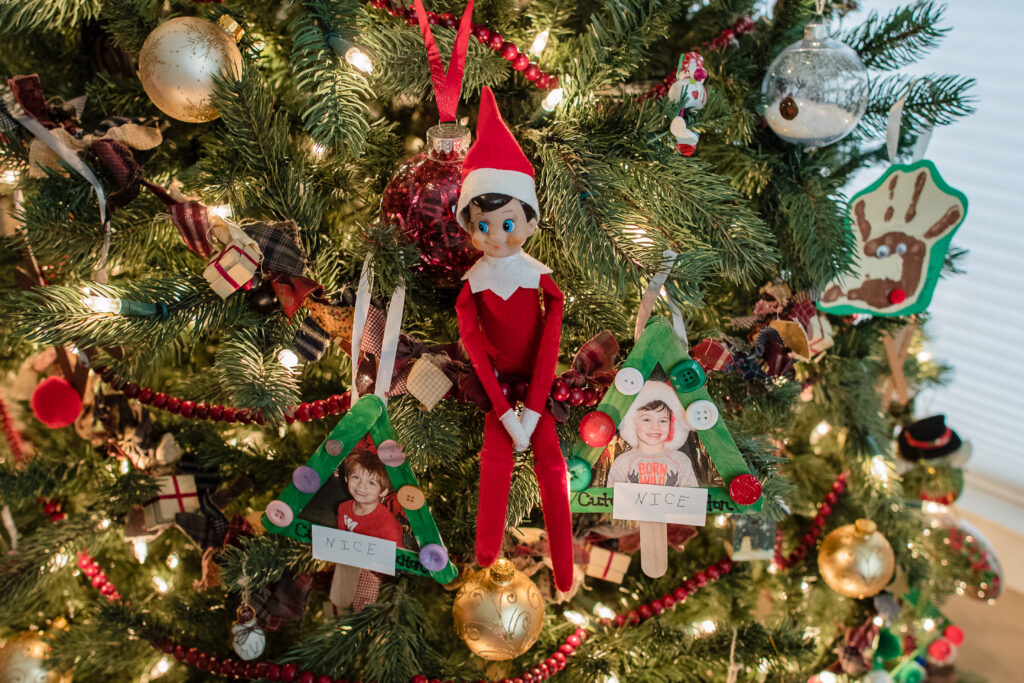 Elf on the shelf sitting on a tree playing pranks on the pictures